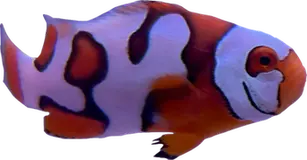 WYSIWYG Helmet Picasso #HP8  (1.5-2")